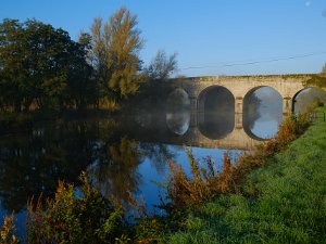 Carlow October 2024