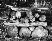 DSCF0224 log pile, Heywood gardens, Co. Laois