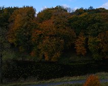 DSCF0229 all the colours of autumn, Heywood, Co. Laois