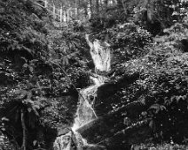 DSCF0268 waterfall, Cregagh Glen