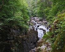 DSCF0035 Black Linn Falls, The Hermitage