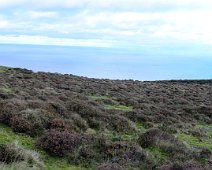 DSCF0420 Panorama from Garron Plateau