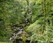 P1070615 Waterfall in Banagher Glen