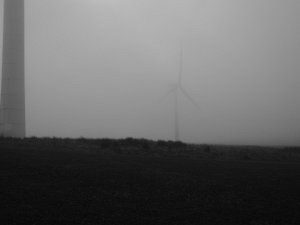 Big Collin Hill Jan 2024 A hike on Big Collin Hill near Ballyclare