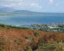 P1090943 Carlingford from The Commons Loop Walk