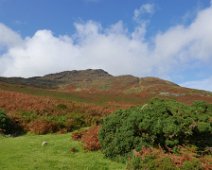 P1090944 Slieve Foye